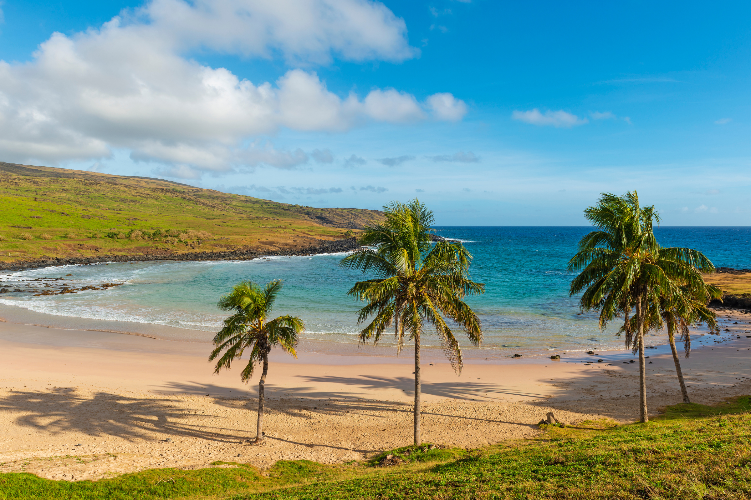 8 rapa island.webp